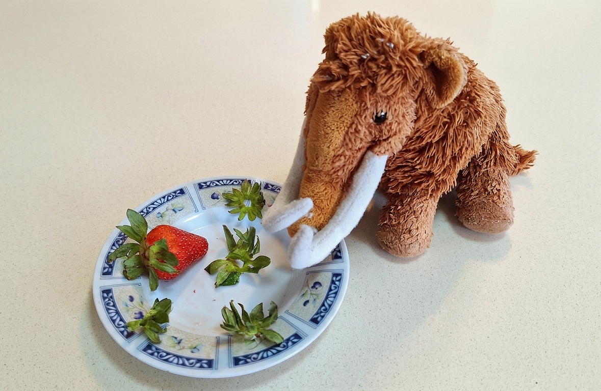 Mammoth mascot and a plate with one strawberry plus strawberry stubs
