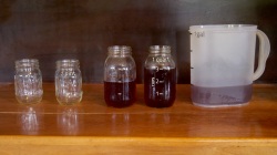 1-gal pitcher and several glass jars