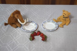 two stuffed animals with empty plates, and some strawberries