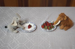two stuffed animals with some strawberries on their plates