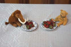 two stuffed animals with some strawberries on their plates